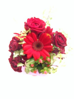 エレガントな７種類のパフューム