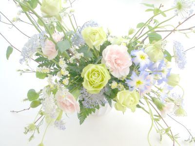 207SWﾃﾞﾋﾞｭｰﾌｪｱ　ｳｪﾙｶﾑﾌﾗﾜｰ