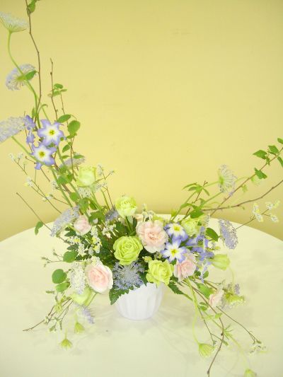 207SWﾃﾞﾋﾞｭｰﾌｪｱ　ｳｪﾙｶﾑﾌﾗﾜｰ