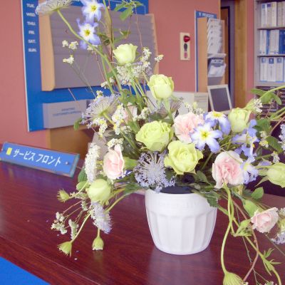 207SWﾃﾞﾋﾞｭｰﾌｪｱ　ｳｪﾙｶﾑﾌﾗﾜｰ