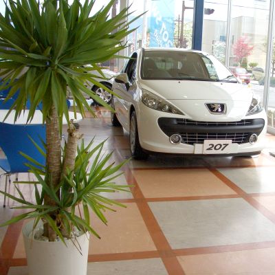 【G，W　ショールーム営業日】のお知らせ