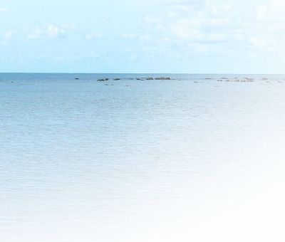 空と一緒に走りませんか？