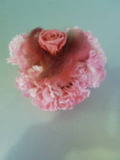 ♪♪模様替え♪♪