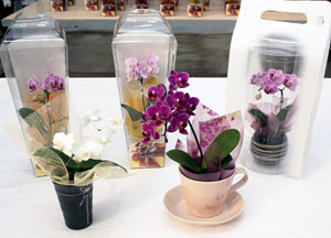 気になる記事を発見！！