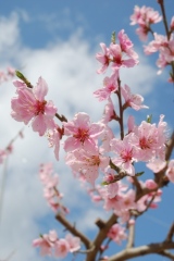 ＊＊夏タイヤへの履き替え＊＊