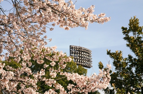 今度の週末は・・・