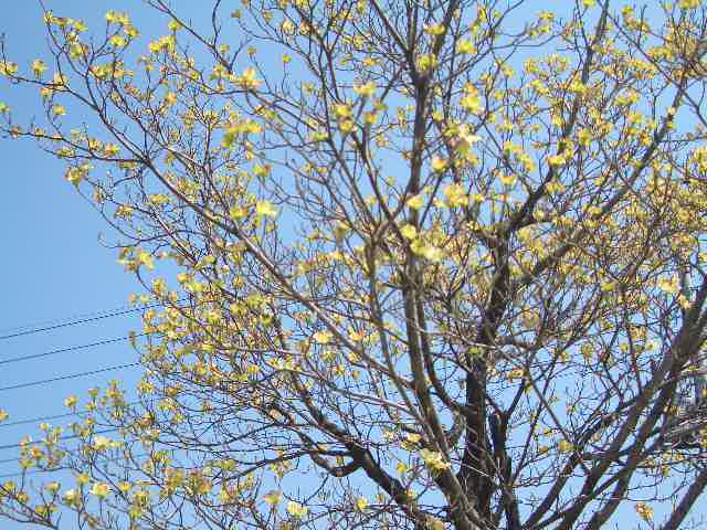 ＊＊NEWアイテム＊＊