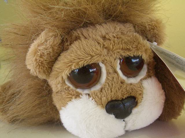 インポートカーフェア　始まりました