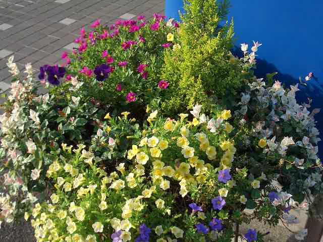 シルバーウィーク営業案内