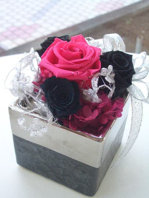 久しぶりに・・・・