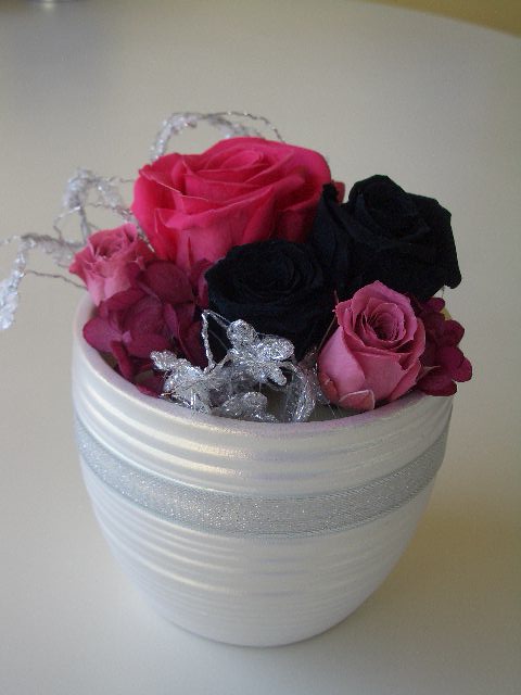 久しぶりに・・・・