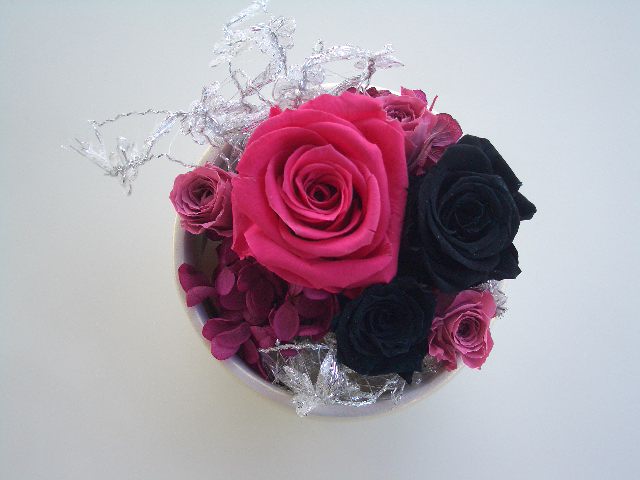 久しぶりに・・・・