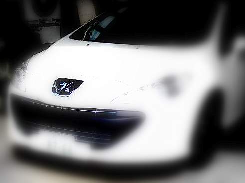 白いライオン・・・・★