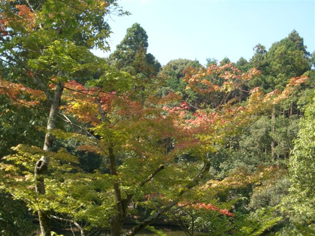 ふらりと・・・・