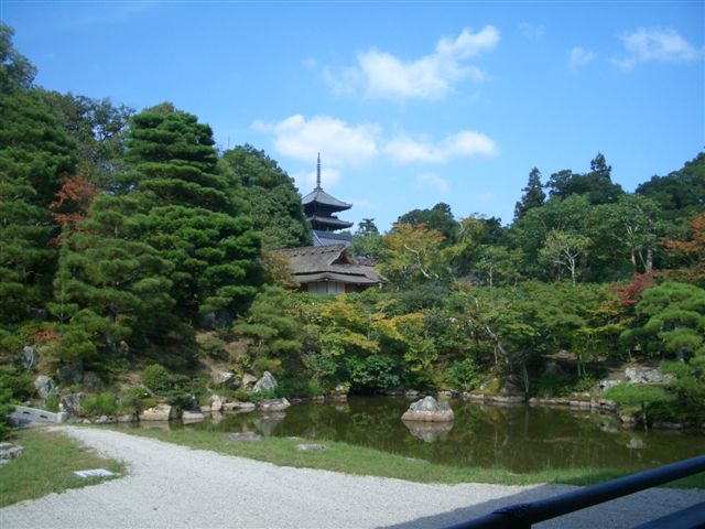 ふらりと・・・・