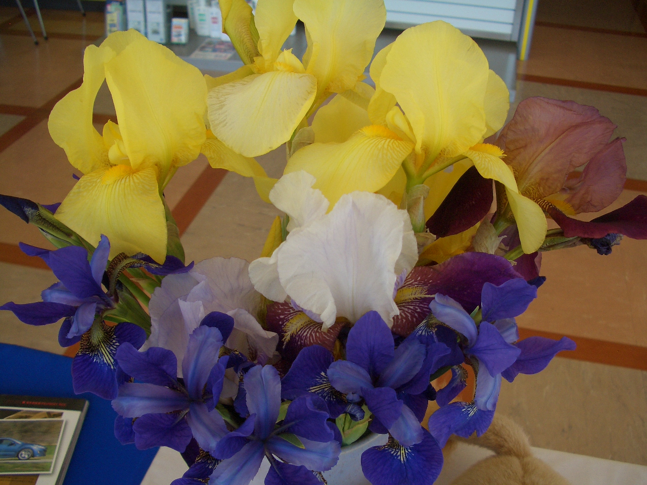 有難うこざいました。