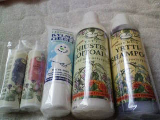 頑張らないと！