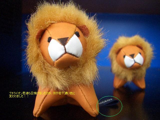 ＮＥＷプチライオン