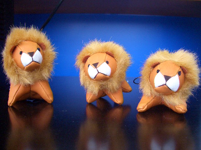 ﾌﾟｼﾞｮｰﾃｽﾀｰ診断+ﾌﾟｼﾞｮｰﾁｪｯｸｷｬﾝﾍﾟｰﾝ実施！！