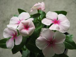 嬉しいお知らせが・・・