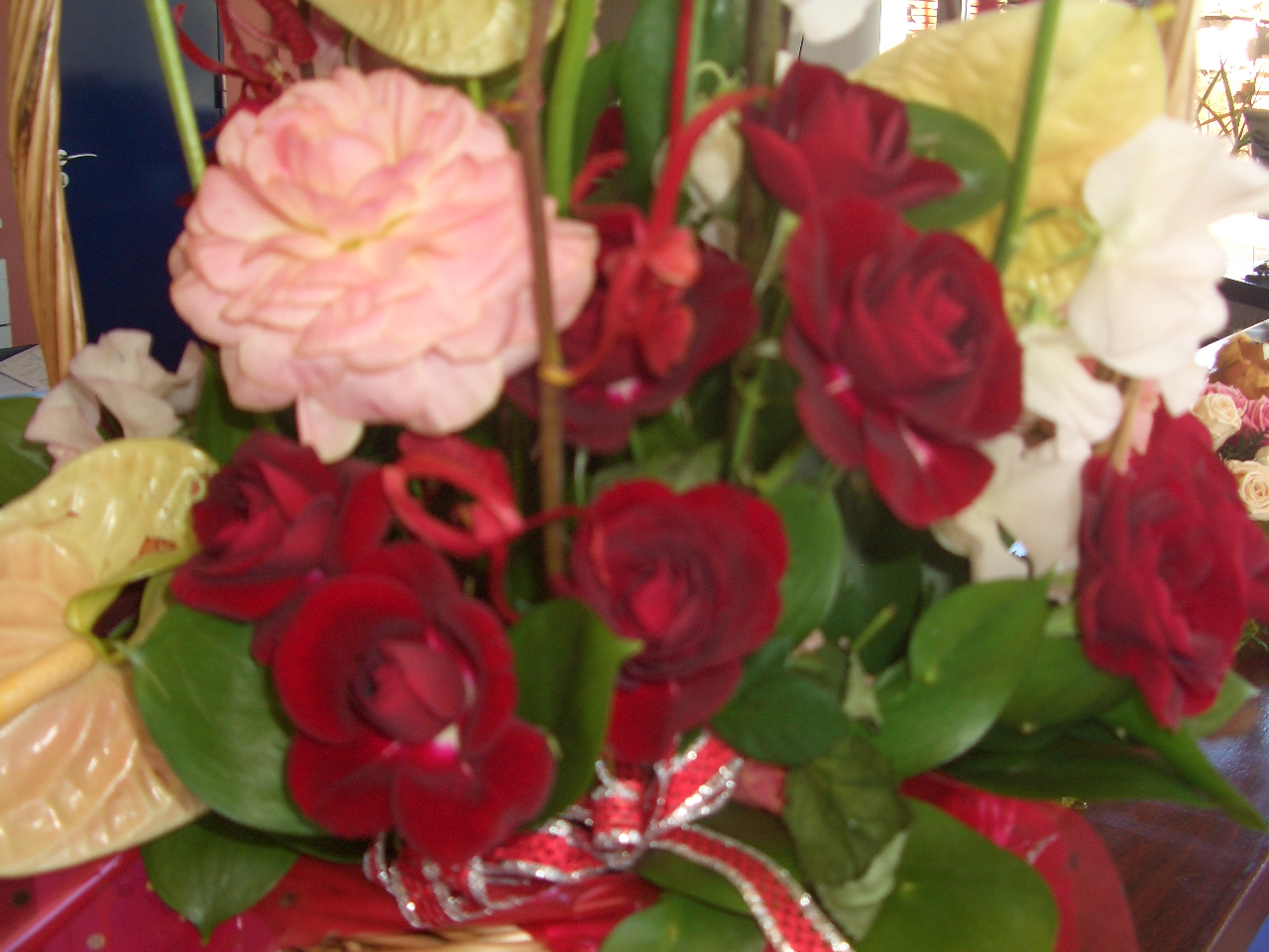 ご来場有難うございました。