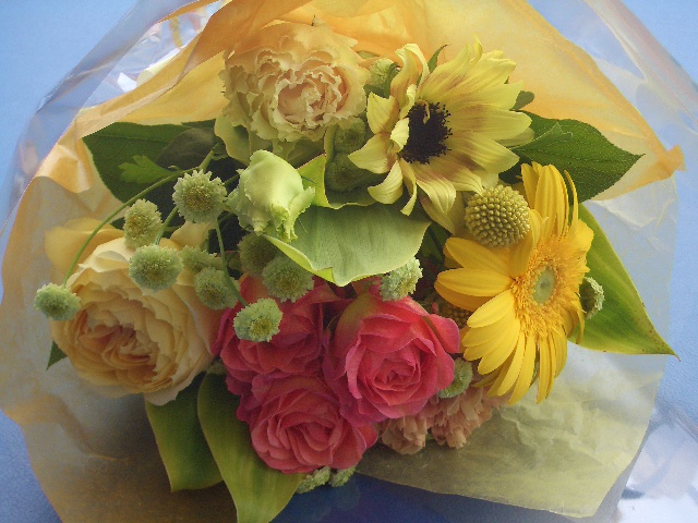 試乗会のお知らせ