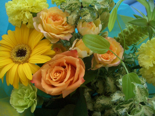 出張展示会のお知らせ