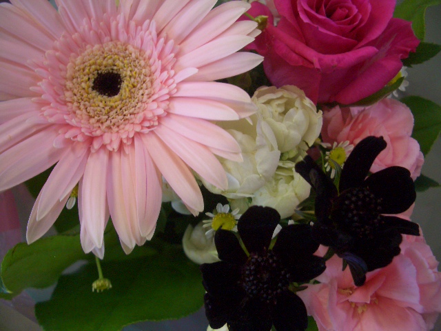 PEUGEOT甲府　　CAFE　OPEN?