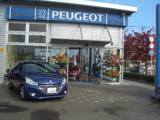 208デビューフェア