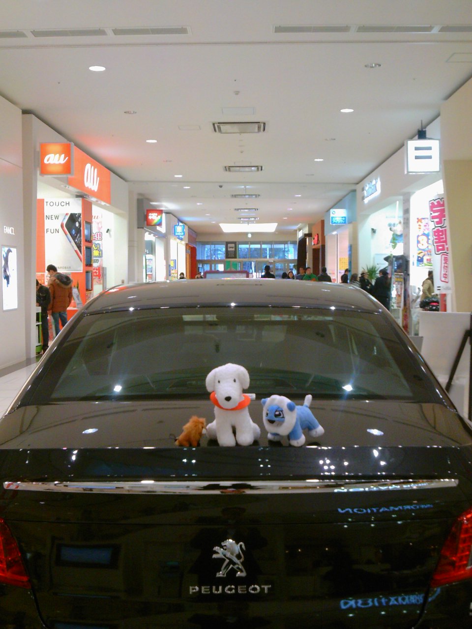 ご来場ありがとうございました