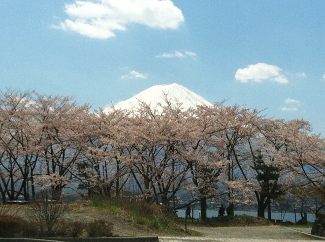 山梨をドライブ