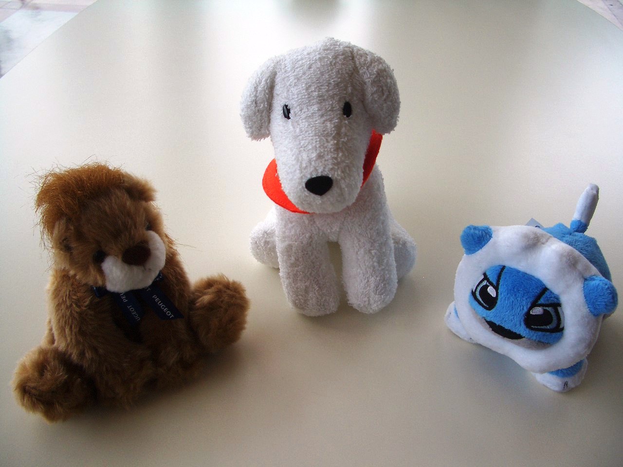 出張展示会 in イオンモール甲府昭和