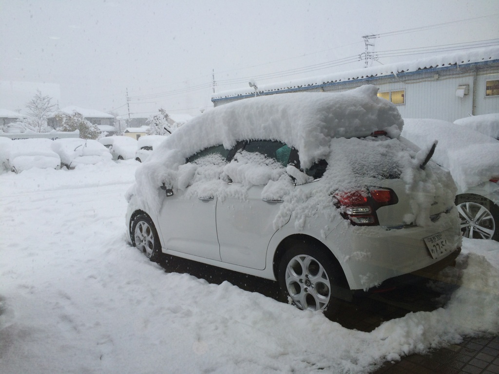 大雪です！！