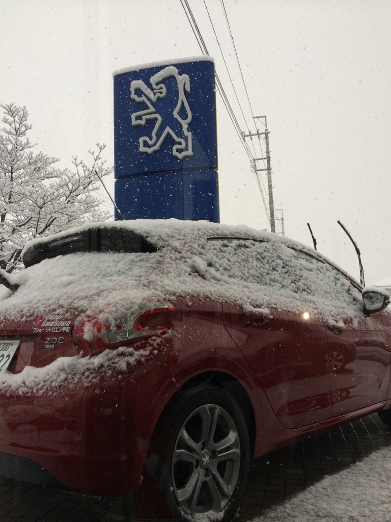 今日も雪・雪・雪
