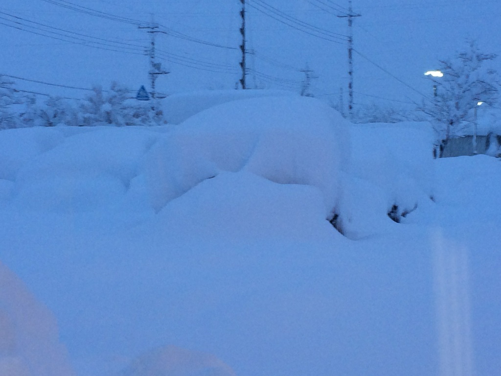 大雪です！！