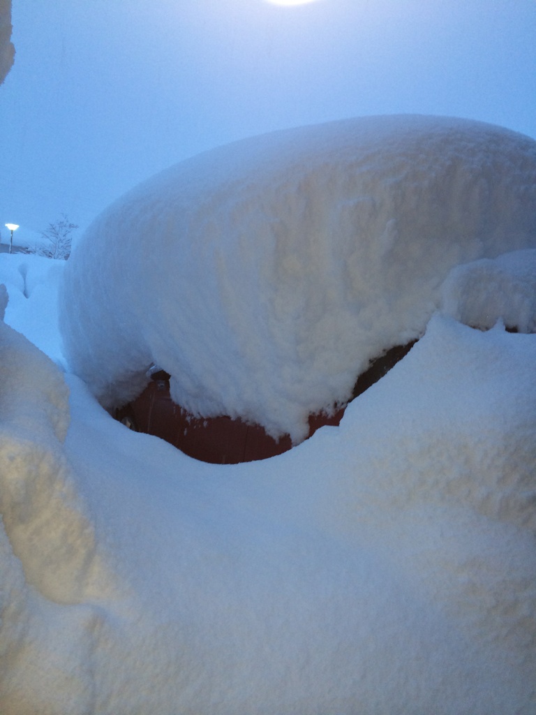 大雪です！！