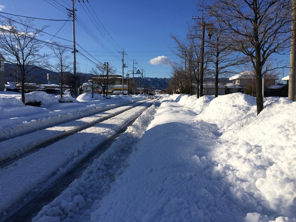 今日も雪・雪・雪