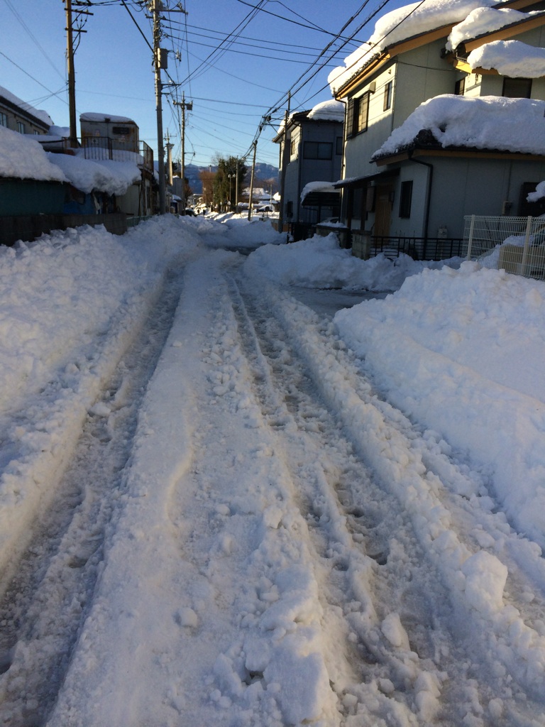 今日も雪・雪・雪