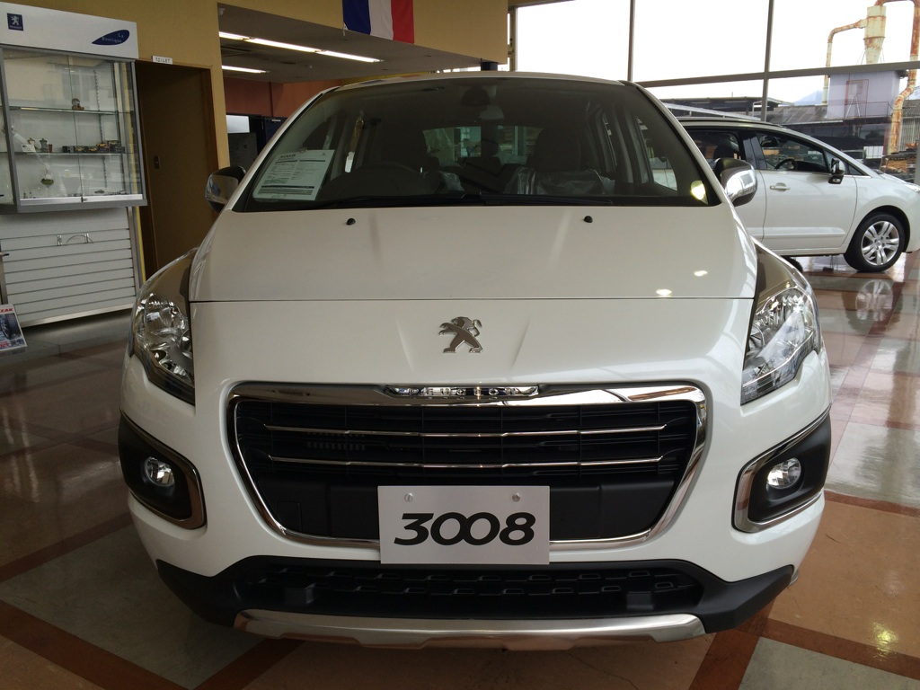 NEW　3008 