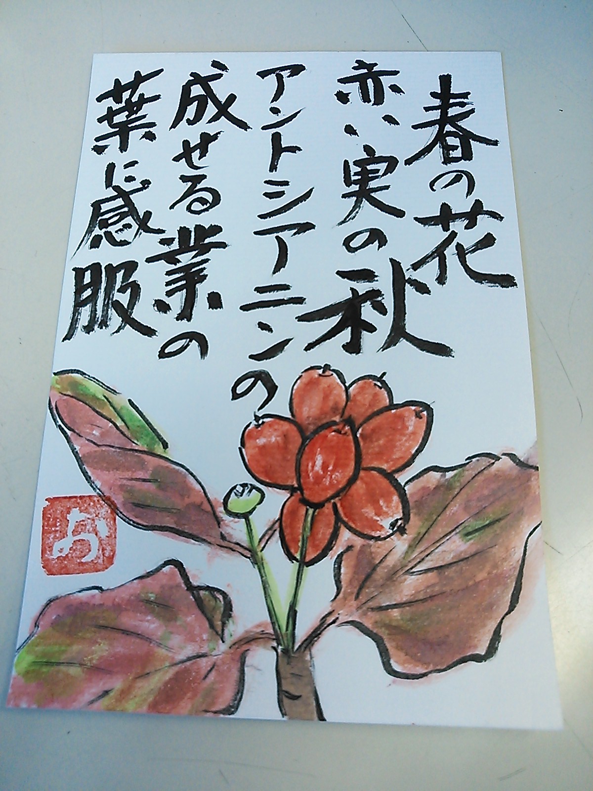 ☆絵手紙☆