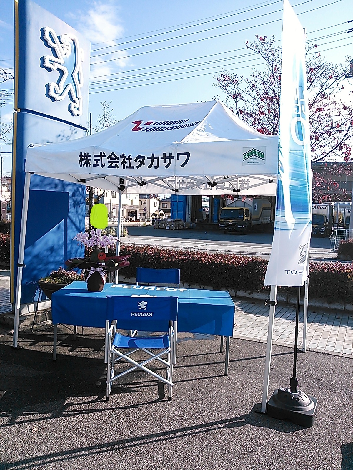 ☆NEW308デビューフェア始まりました☆