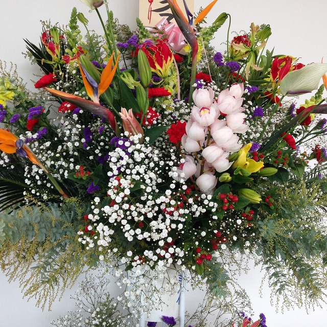 リニューアルイベント第二弾！