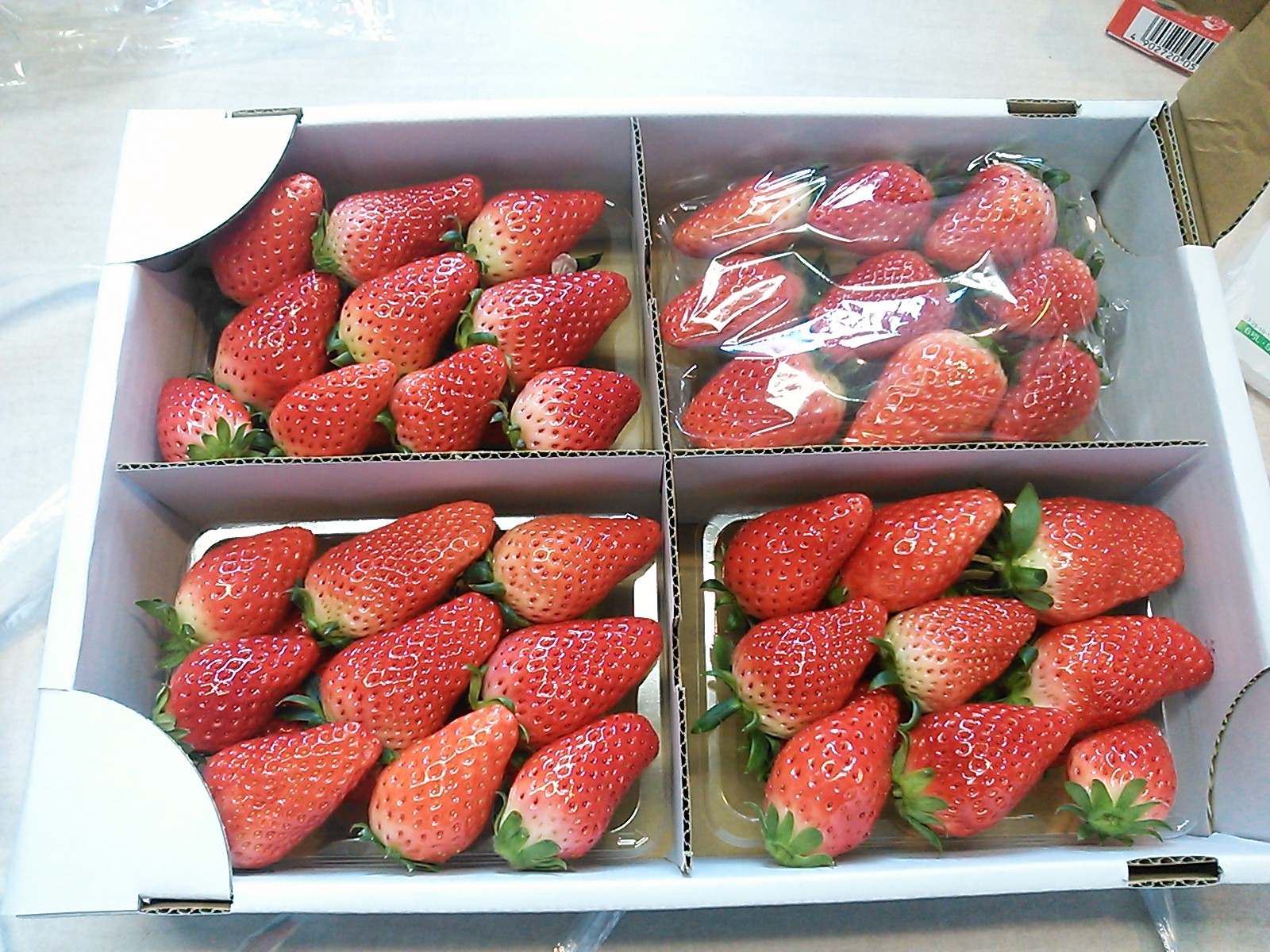 ごちそうさまでした。