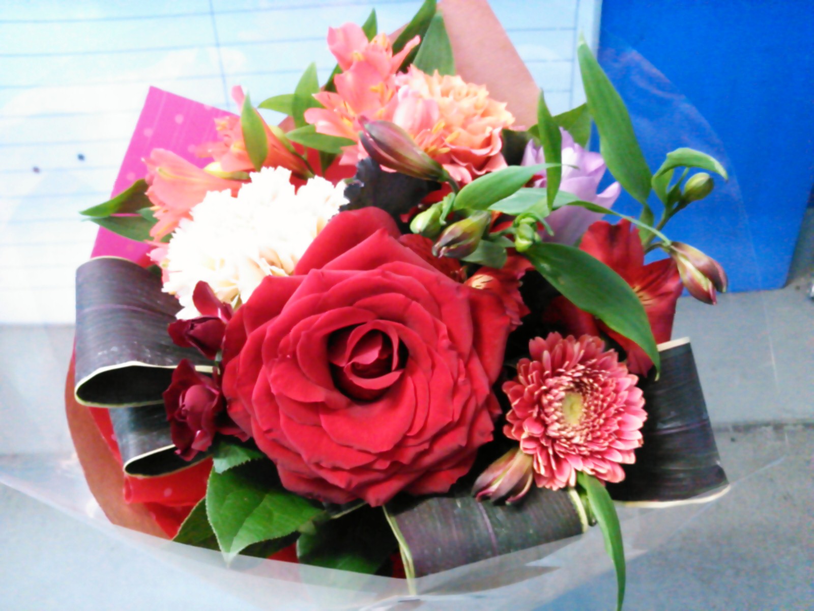 ♪バレンタインデー♪