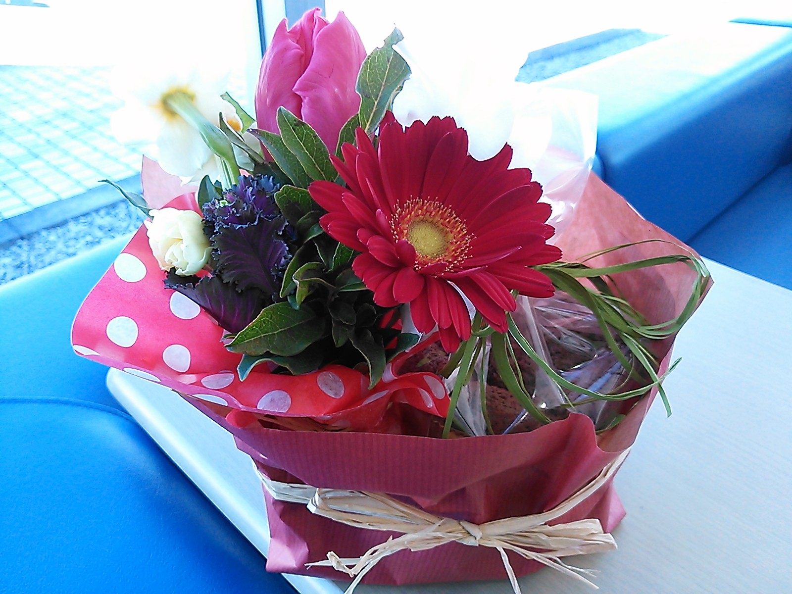 ♪バレンタインデー♪