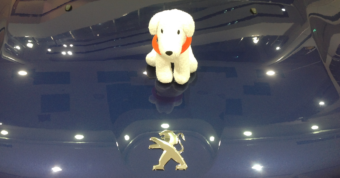 出張展示会のお知らせ