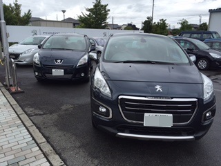 【試乗車情報】プラスα