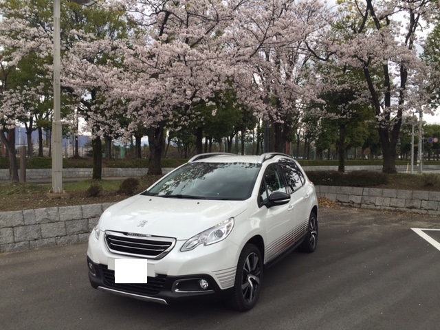 桜と・・