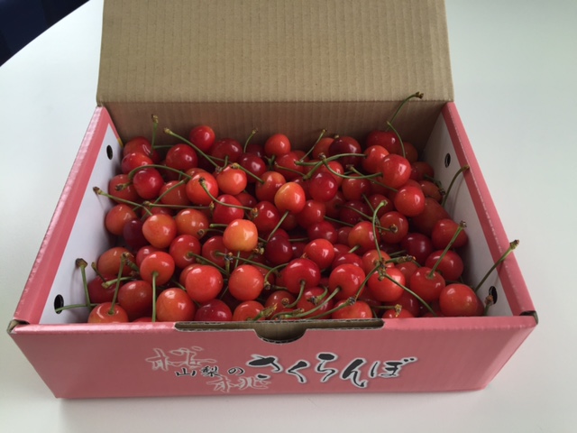 お客様より差し入れ♪