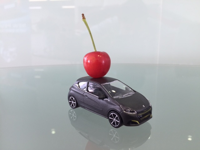 お客様より差し入れ♪